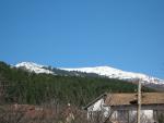 IMG_7469_0.JPG